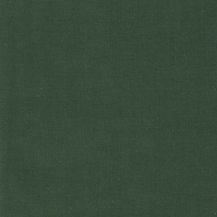 Sage Corduroy Fabric